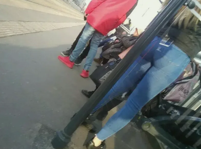 Sex tjejer Grödinge